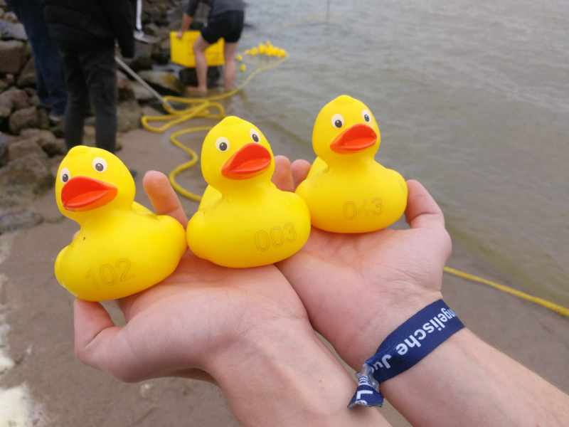 Drei Gummienten in einer Hand über Wasser gehalten